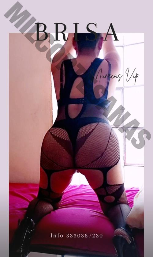 3330387230 escorts acompañantes Guadalajara 507 mileroticos