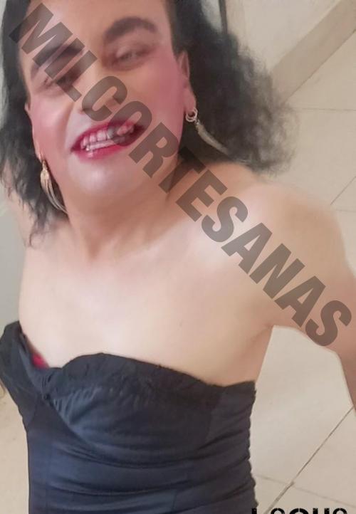 7751319699 travestis transexuales Tulancingo de Bravo 2518 sexoservidoras