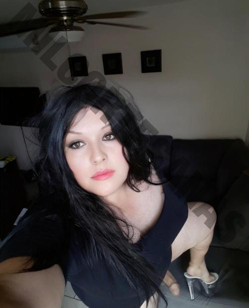 8341898479 travestis shemales Cuauhtémoc 2611 mileroticos