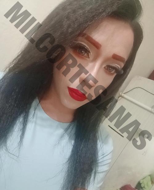 3329655833 travestis transexuales Guadalajara 2678 sexoservidoras