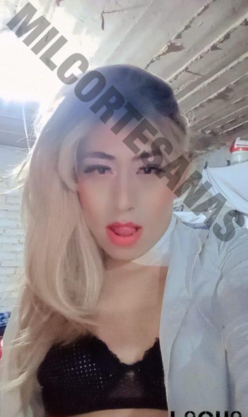 2218370047 travestis ladyboys Puebla 2833 simpleescorts