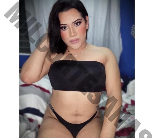 9832014591 travestis shemales Othón P. Blanco 2839 mileroticos