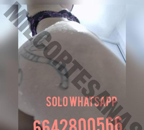 6642800566 escorts prostitutas Tijuana 3304 gemidos-tv