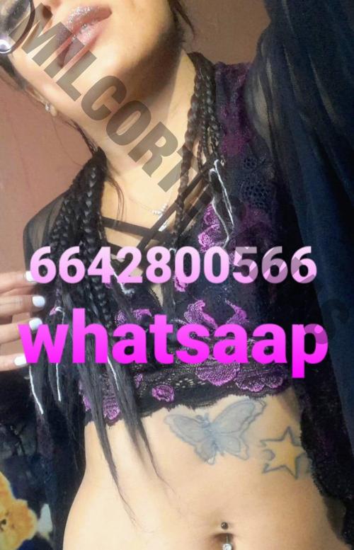 6642800566 escorts putas Tijuana 3309 simpleescorts