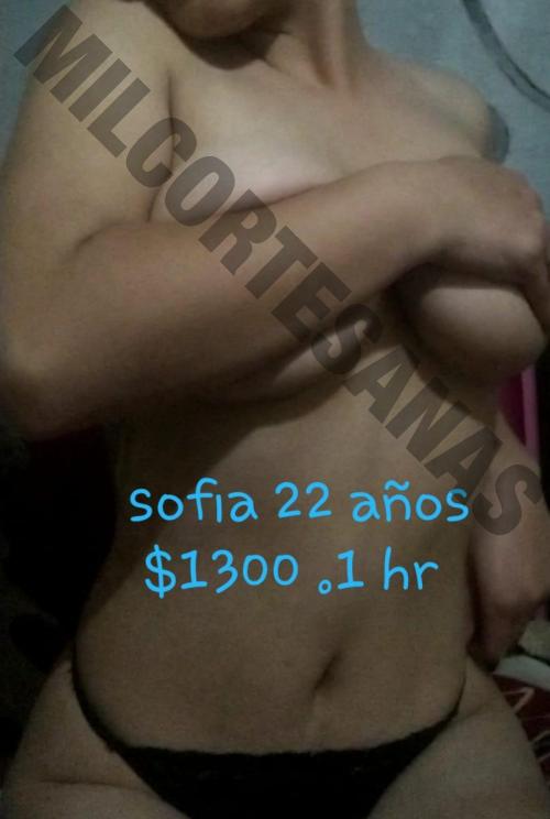 6463871583 escorts putas Ensenada 3722 sexoservidoras