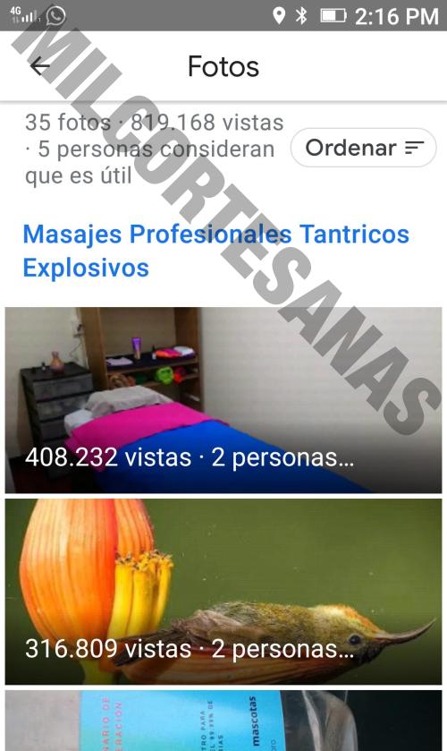 5523107229 masajes-eroticos tántrico erótico Alvaro Obregón 11646 sexoservidoras