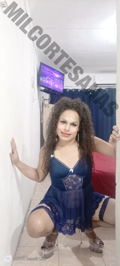 9381561357 travestis Carmen 14100 mileroticos trans