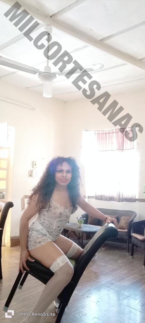 9381561357 travestis Carmen 14107 mileroticos shemales