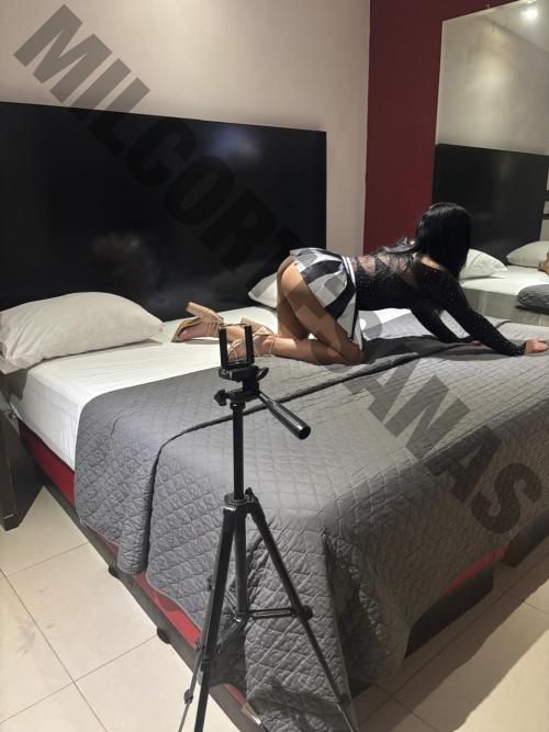 6142690908 escorts Chihuahua 14294 mileroticos prostitutas