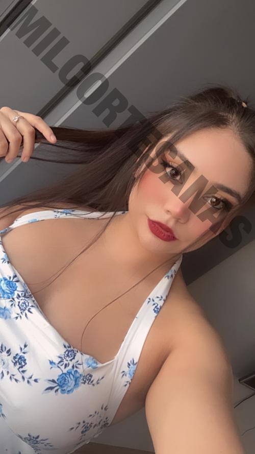 6461832350 escorts Tijuana 14636 mileroticos lumis