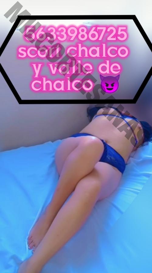 5633986725 travestis Chalco de Diaz Covarrubias 14870 mileroticos transexuales