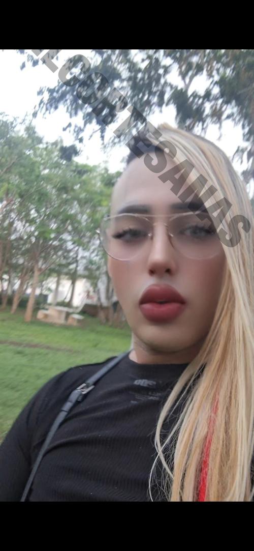 9992809139 travestis Mérida 14964 mileroticos trans