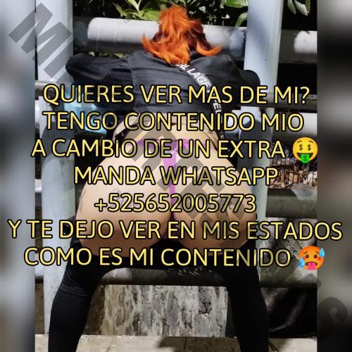 5651939838 escorts CDMX / Ciudad de México 15730 mileroticos sexoservidora