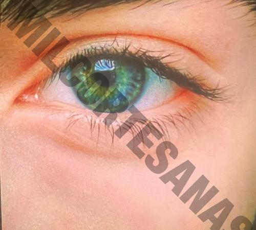 5656840049 masajes-eroticos CDMX / Ciudad de México 16120 mileroticos lingam